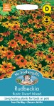 Rudbeckia Rustic Dwarf Mixed