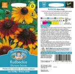 Rudbeckia Gloriosa Daisies