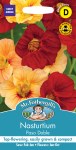 Nasturtium Paso Doble