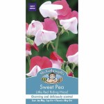 Sweet Pea Little Red Riding Hood