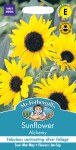 Sunflower Alchemy
