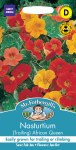 Nasturtium (Trailing) African Queen