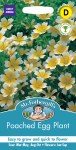 Poached Egg Plant
