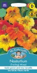 Nasturtium (Trailing) Mixed