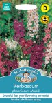 Verbascum Phoeniceum Mixed