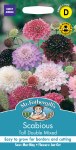 Scabious Tall Double Mixed