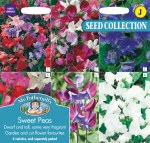 Sweet Peas Collection
