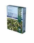 RHS Wildlife Cool Mix