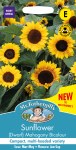 Sunflower (Dwarf) Mahogany Bicolour