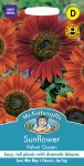 Sunflower Velvet Queen