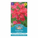Sweet Pea Nightingale