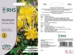 Aquiegia Yellow Queen