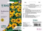 Rudbeckia Toto