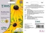 Rudbeckia Goldsturm