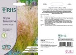 Stipa Tenuissima (Pony Tails)