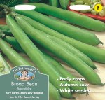 Broad Bean Aguadulce