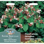 Runner Bean (Dwarf) Hestia