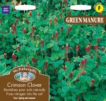 Green Manure Crimson Clover