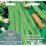 Runner Bean White Lady