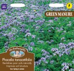 Green Manure Phacelia Tanacetifolia