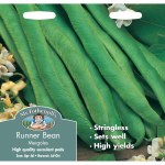 Runner Beam Mergoles