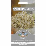 Alfalfa Sprouting Seeds
