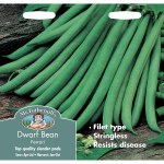 Dwarf Bean Ferrari