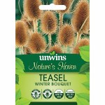 Nature's Haven Teasel Winter Bouquet