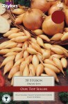 Onion Sturon