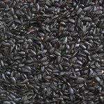 Nyjer Seed 25kg