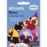 Pansy Swiss Giant Mix