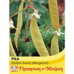 Pea 'Golden Sweet' (Mangetout)