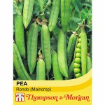 Pea 'Rondo' (Maincrop)