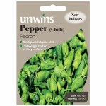 Pepper (Chilli) Padron