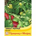 Sweet Pepper 'Boneta'