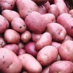 Potatoes Rooster  2Kg
