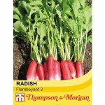 Radish 'Flamboyant 3'