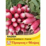 Radish 'French Breakfast 4 - Francis'