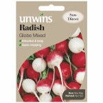 Radish (Globe) Unwins Crunchy