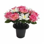 SIN 25cm P Rose Orchid Grave P