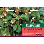 Runner Bean (Dwarf) Hestia