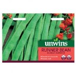 Runner Bean Scarlet Emperor
