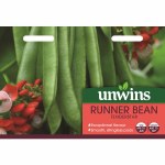 Runner Bean 'Tenderstar'