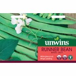 Runner Bean White Lady