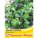 Salad Leaves 'Frilly Mixed'