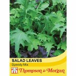 Salad Leaves 'Speedy Mix'