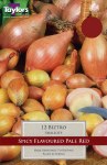 Shallot 'Biztro'