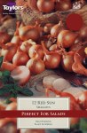 Shallot 'Red Sun'