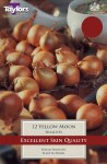 Shallot 'Yellow Moon'