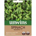 Spinach Trumpet F1
